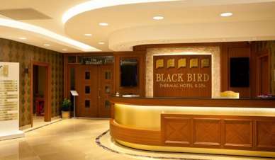 Black Bird Thermal Hotel Spa Yalova