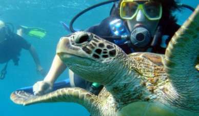 Alanya Scuba Diving